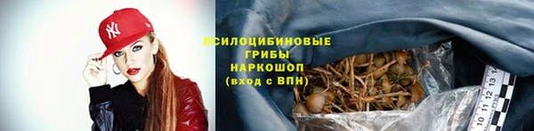 PSILOCYBIN Алексин