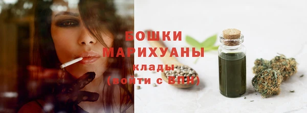 apvp Инта